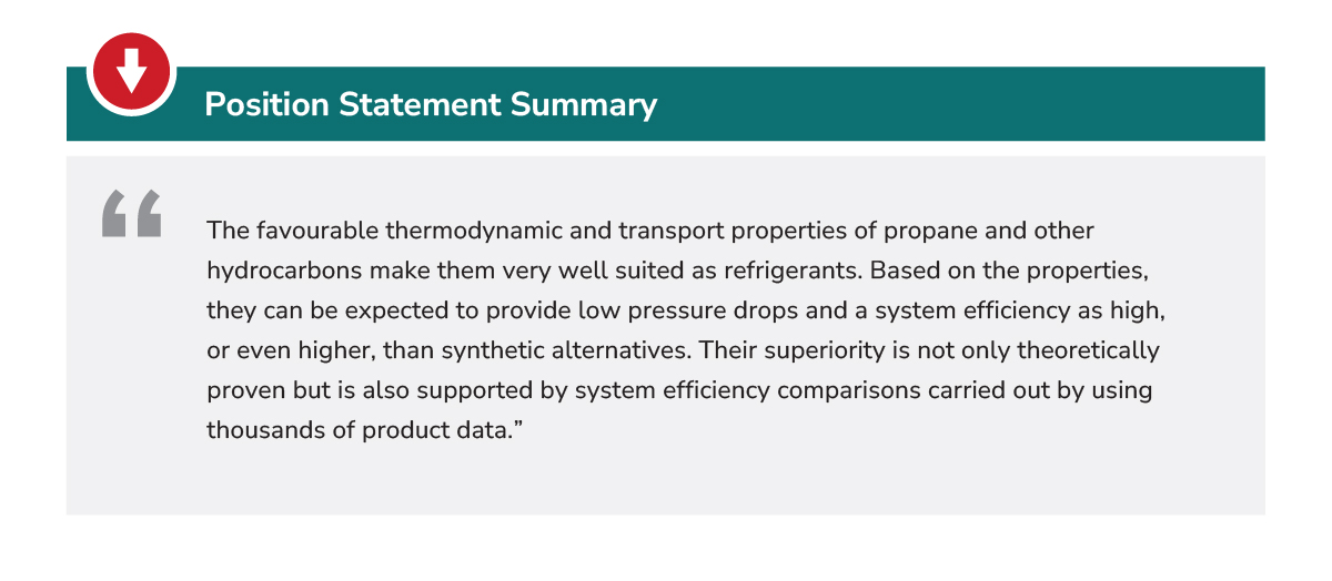 Position Statement Summary